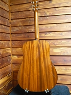 D1 Guitar