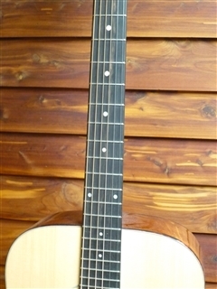 Eastman E10D