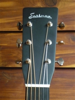 Eastman E10D