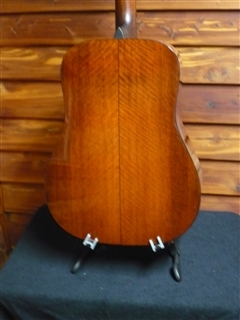 Eastman E10D